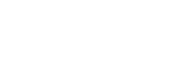 logo little-gym